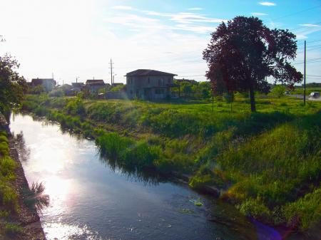 Creek in Oradea