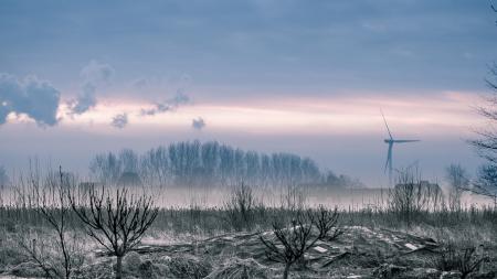 creepy grunge landscape
