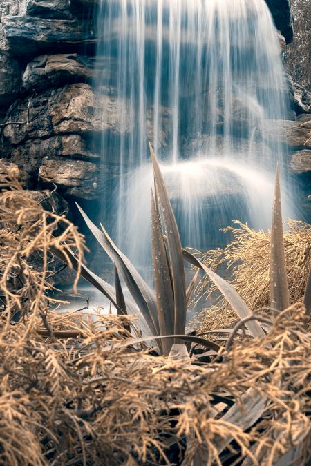 Cross-Processed Waterfall Foliage - HDR