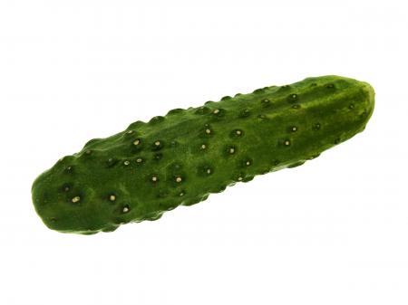 Cucumber