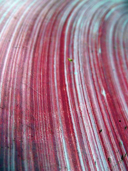 Curved Lines Background