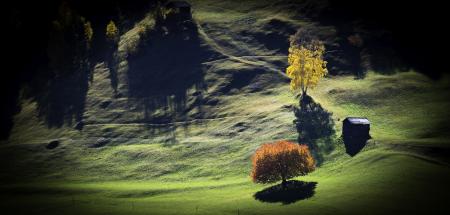 Curvy Landscape