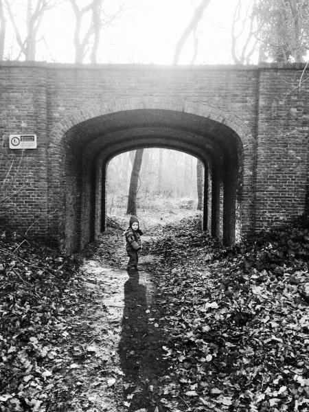 cute baby boy walking in autumn forest