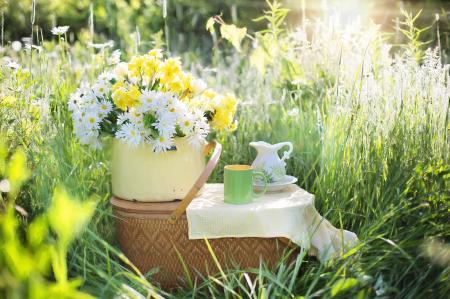 Daisies on the Basket