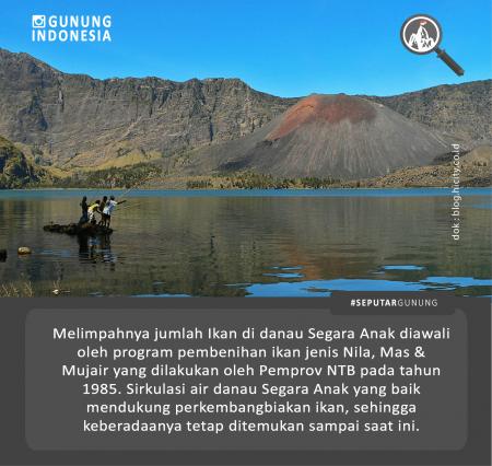 Dam Danawari Indonesia