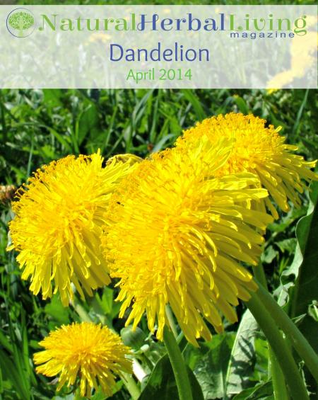 Dandelion