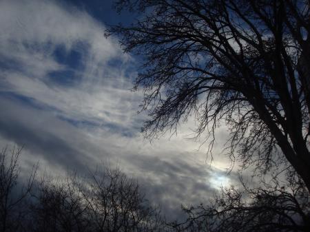 Dark afternoon in the park