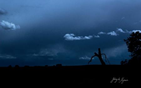 Dark Skies Silhouette