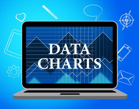 Data Charts Represents Web Site And Facts