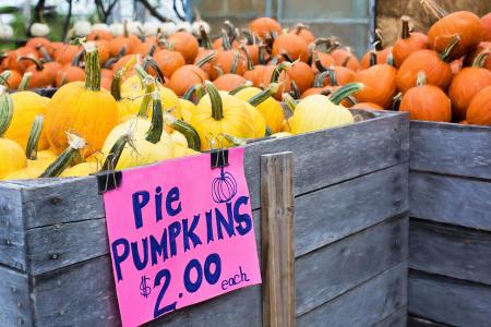 Deal on Pumpkins