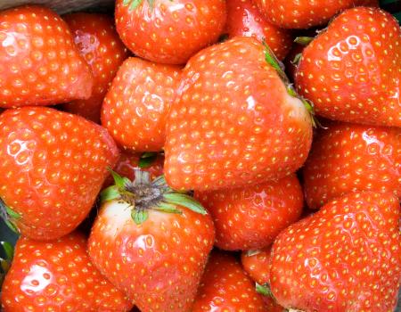 Delicious red strawberries