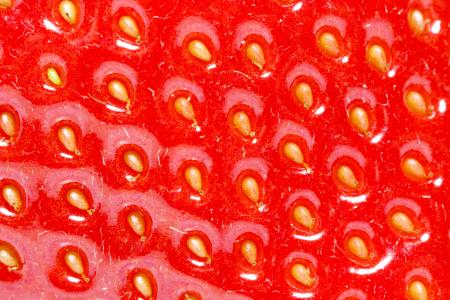 Delicious red strawberries