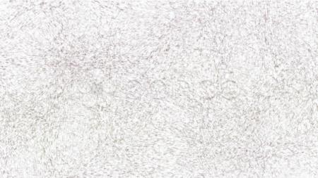 Dense Sketch Texture