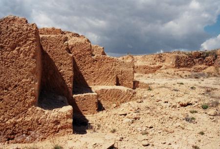 Desert landscape