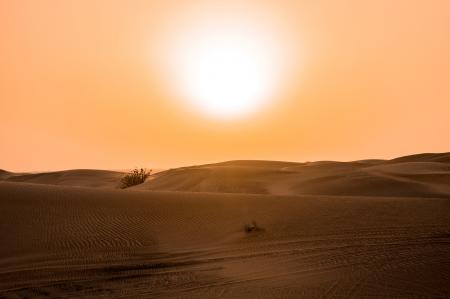 Desert Under Yellow Sunset