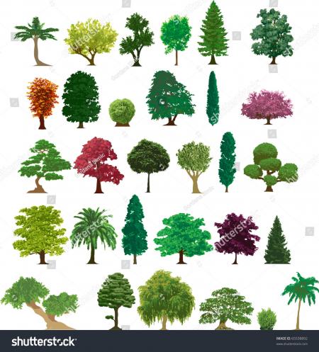 Different trees