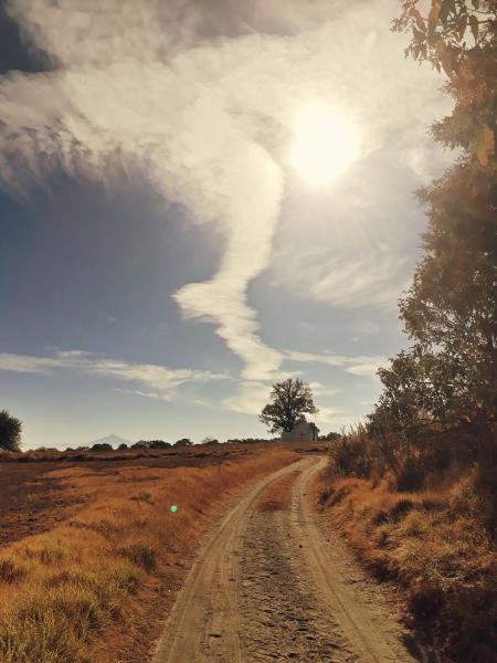 Dirt Road