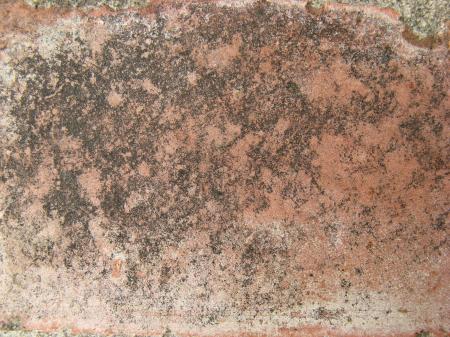 Grunge Mud Texture