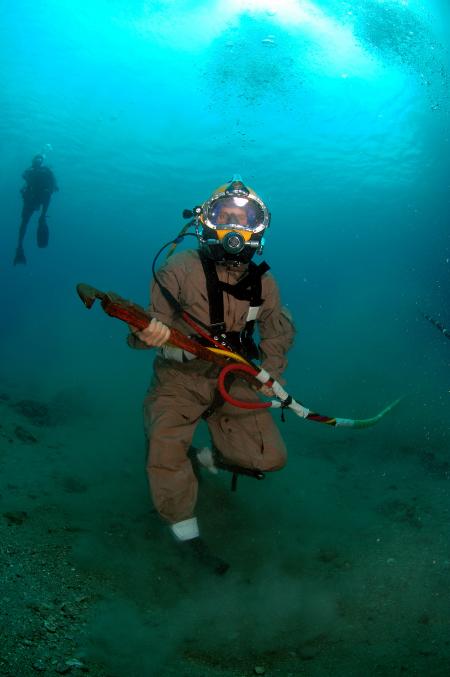 Diver in the Sea