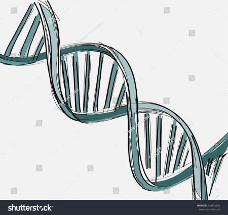 DNA String