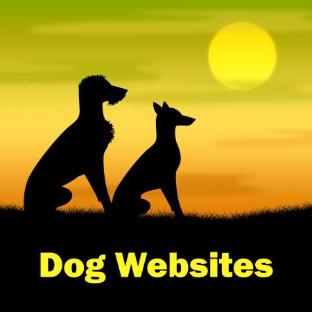 Dog Websites Shows Pups Grassy And Online