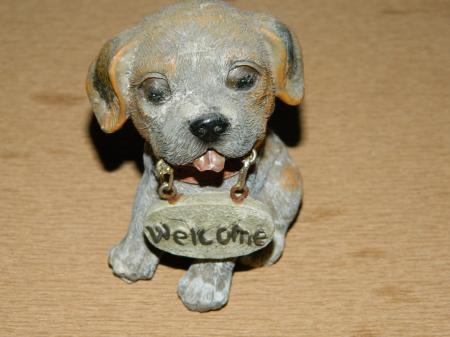 Dog With Welcome Sign