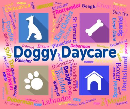 Doggy Daycare Shows Pet Pups And Canines