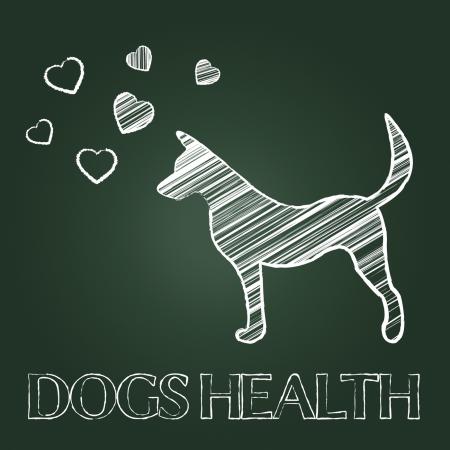 Dogs Health Shows Pups Care And Attention