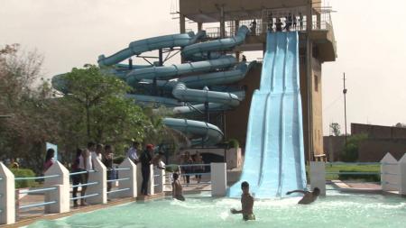 Dolphin water park
