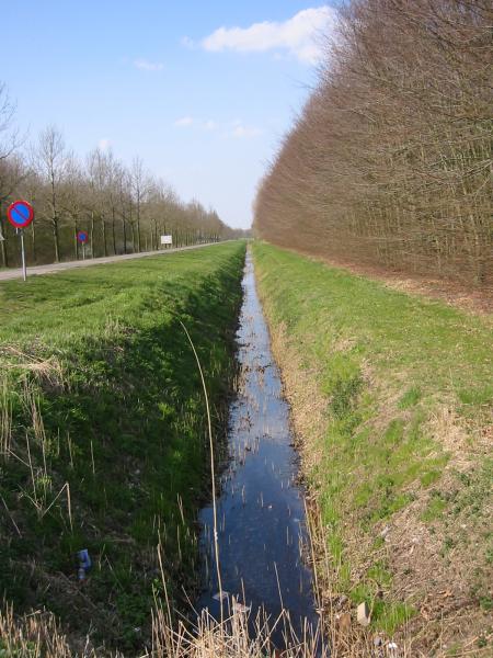 Green Irrigation Ditch