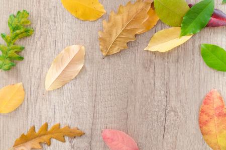 Dried Leaves On Brown Wooden Table