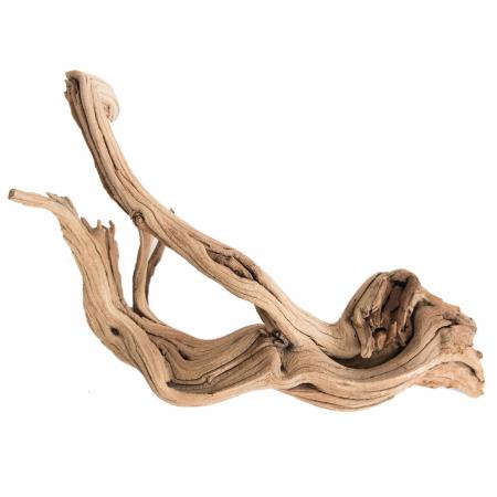 Drift Wood