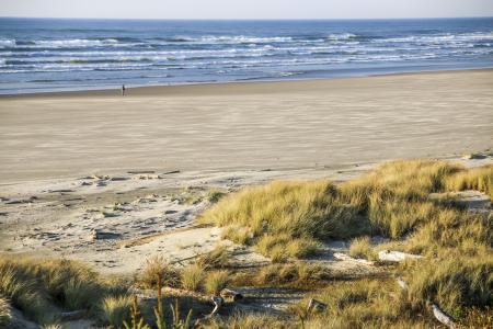 Driftwood State Park, Oregon