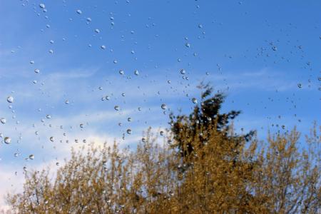 Droplets on the Glass