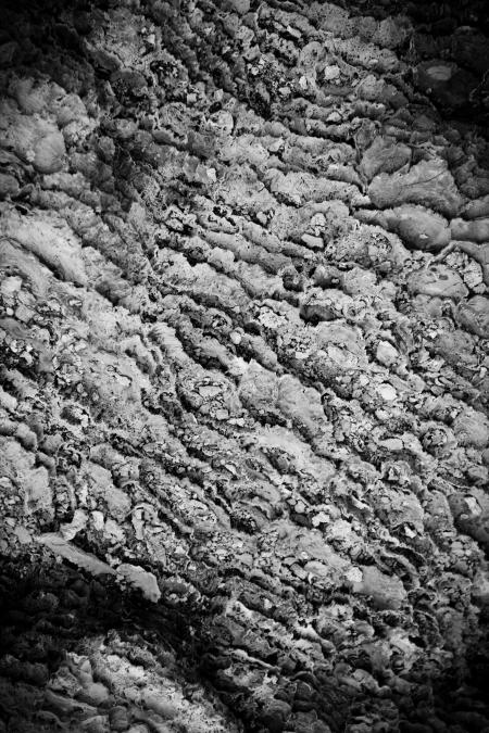 Dry Geothermal Mud Texture