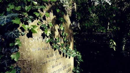 DSC00594-02 Rosary Cemetery - Norwich - UK