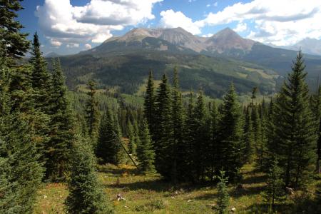 DUNTON MEADOW -11, west of, groundhog mt, at 10,300 ft pass, dolores co, co - (8-26-12) -02
