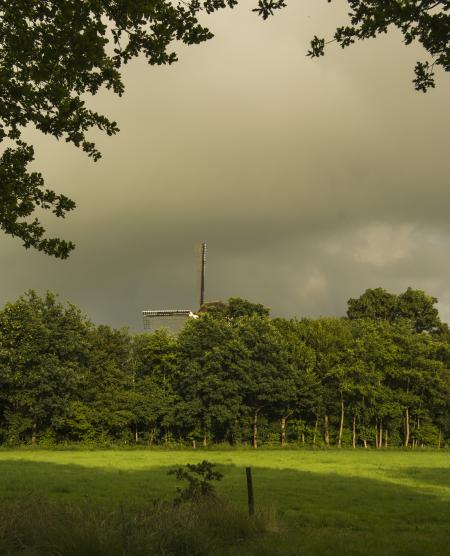 Dutch Corn Mill Behind Treeline