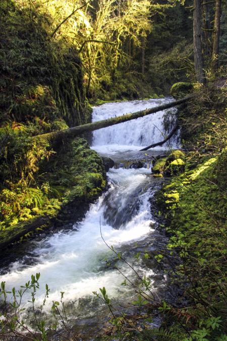 Dutchman Falls, Middle Falls, Oregon