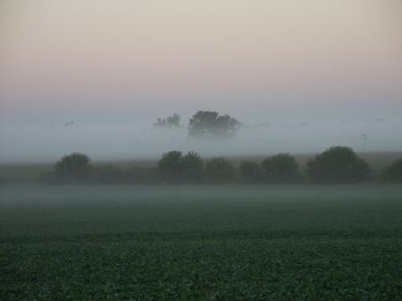 Early, foggy morning
