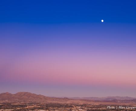 Early Moon Over Vegas