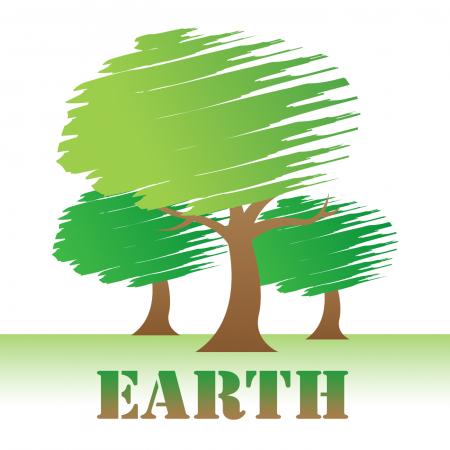 Earth Trees Represents Environment Forest And Nature