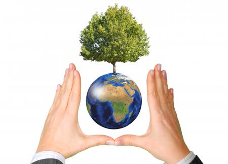 Earth with Tree between Hands - Ecology Concept