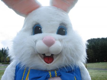 Easter rabbits closeup