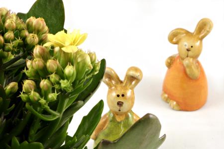 Easter rabbits looking at a flower