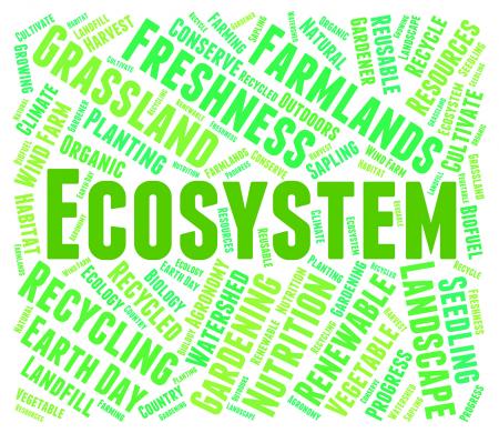 Ecosystem Word Indicates Earth Environmentally And Biospheres