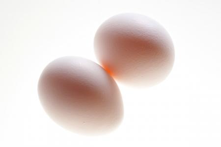 Egg