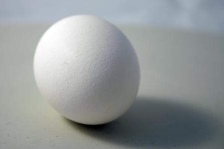 Egg