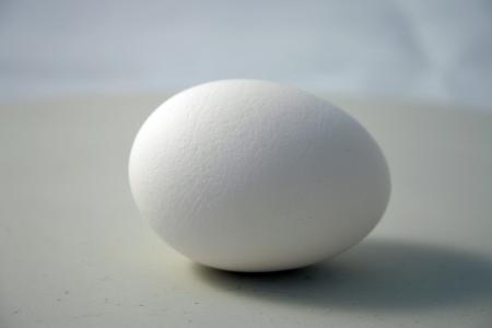 Egg