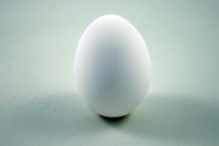 Egg